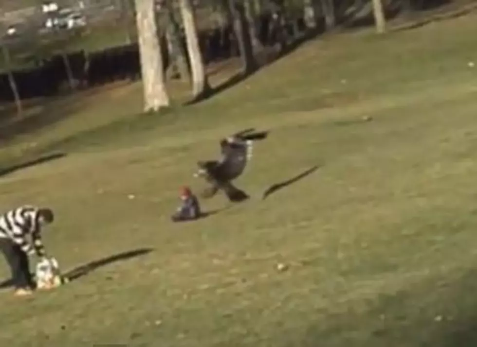 Watch an Eagle Swoop Down and Pick Up a Baby in a Park&#8230;And Try to Fly Away With It!