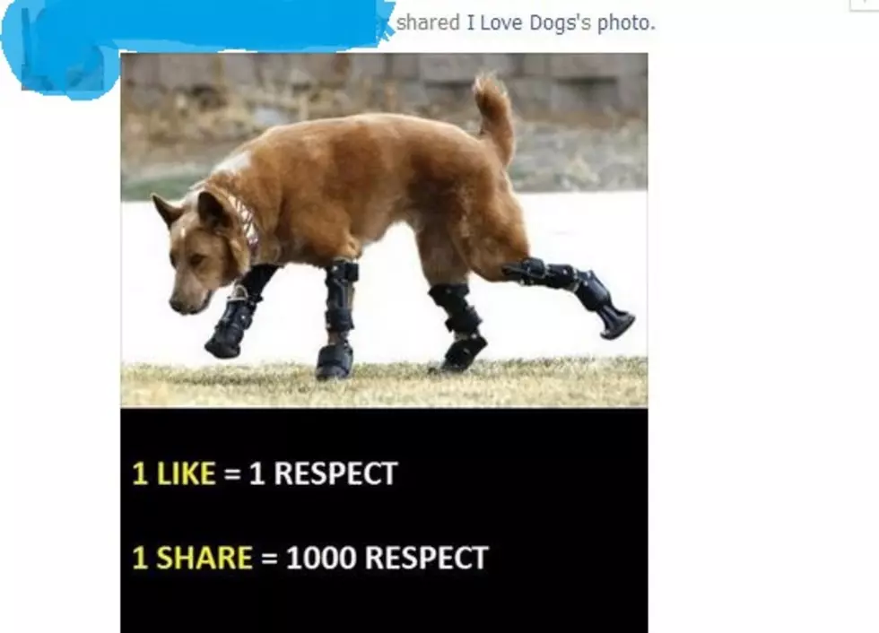 Stop Doing This On Facebook &#8211; &#8220;Share This Picture of &#8216;Whatever&#8217; to Show Respect&#8221;
