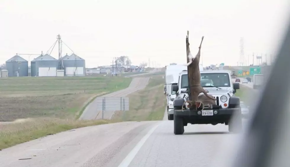 Texas Man Transports 200-lb Deer in Most Unconventional Way Possible [Photo]