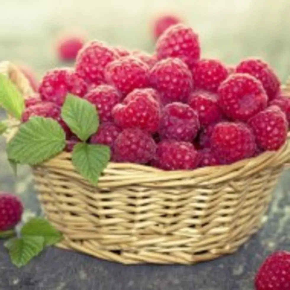 Red Raspberries Are Nature’s Little Orb of Wonder