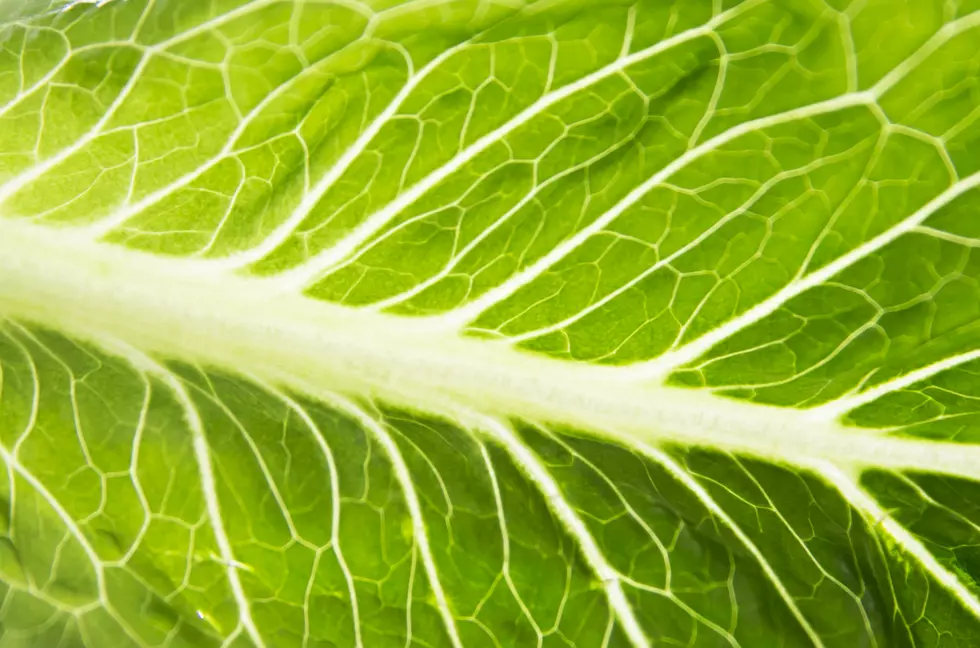 Romaine Lettuce Is Being Recalled For E. Coli [VIDEO]