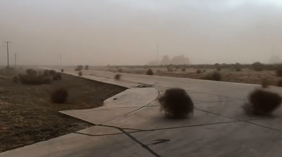 The Wind Blew Hundreds Of Tumbleweeds Across West Texas [VIDEO]