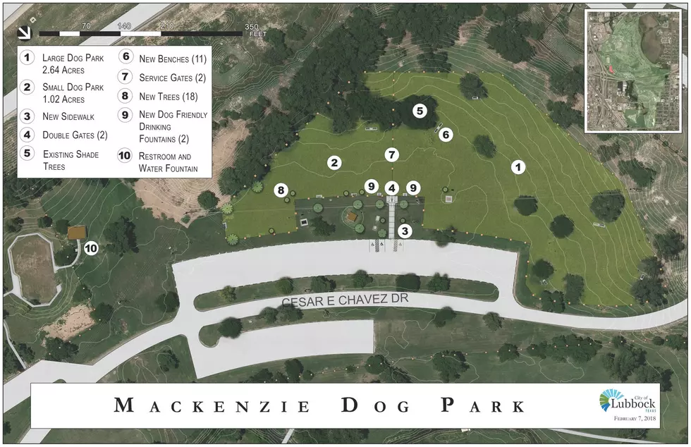 Two New Dog Parks Are Opening in Lubbock Soon