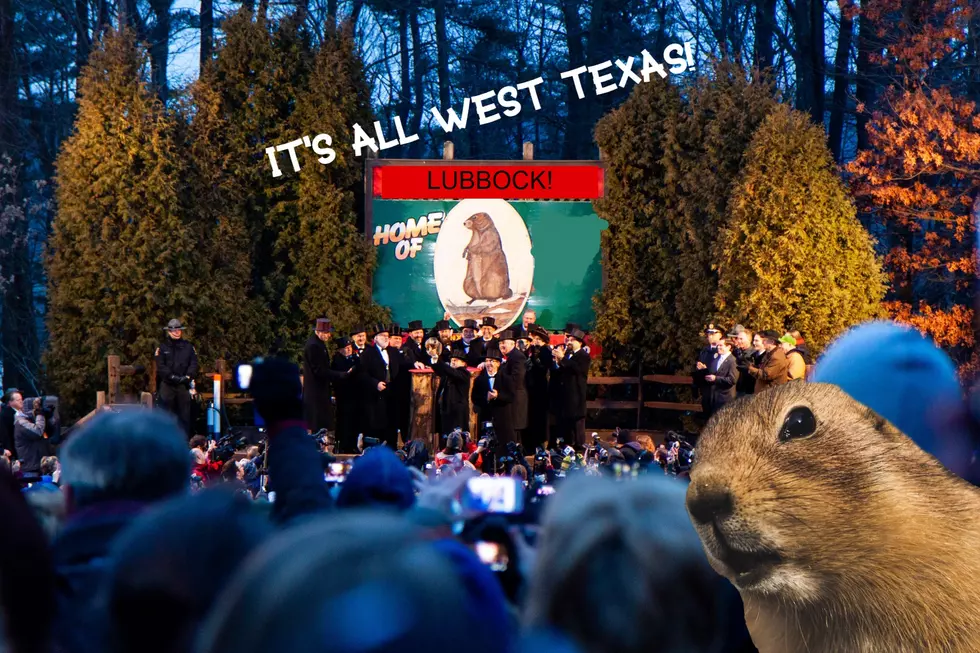 Are Lubbock Prairie Dogs Any Good At Predicting Weather On Groundhog Day?