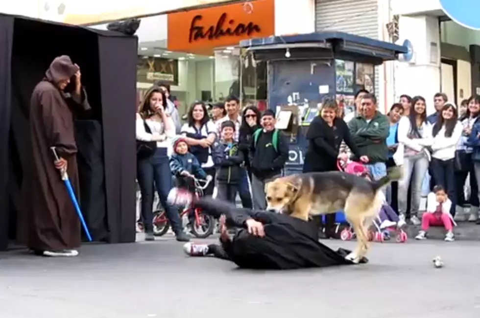 Dog Uses the Force Against Lord Vader [VIDEO]