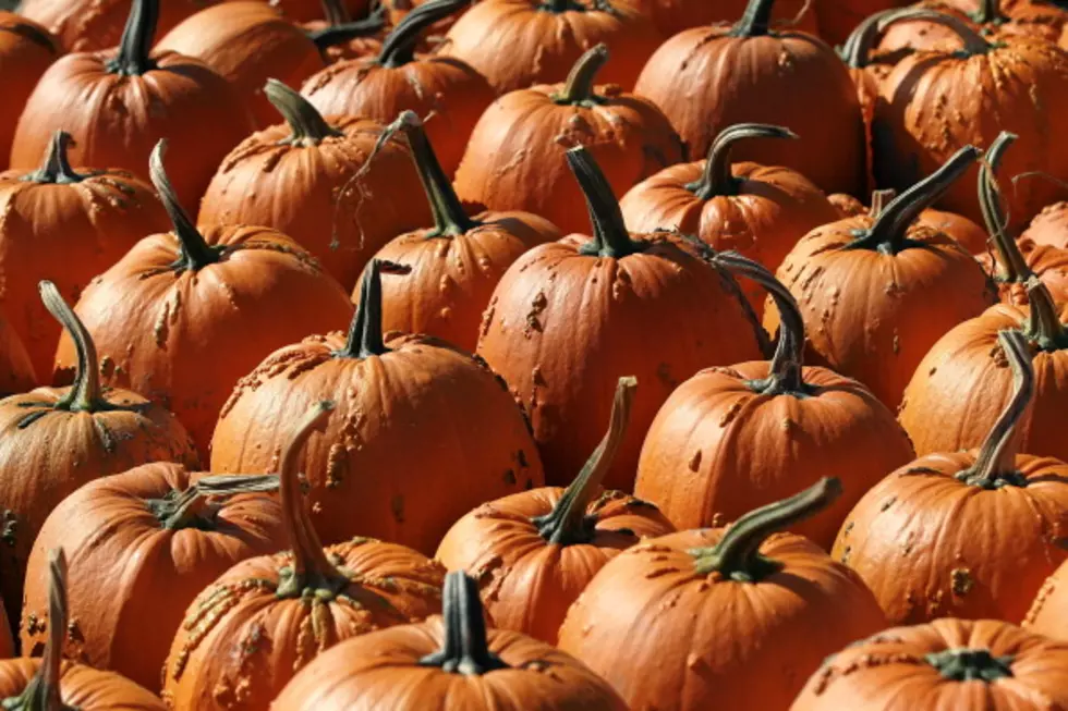 Get Ready For Halloween With The Best Pumpkin Patches in Lubbock
