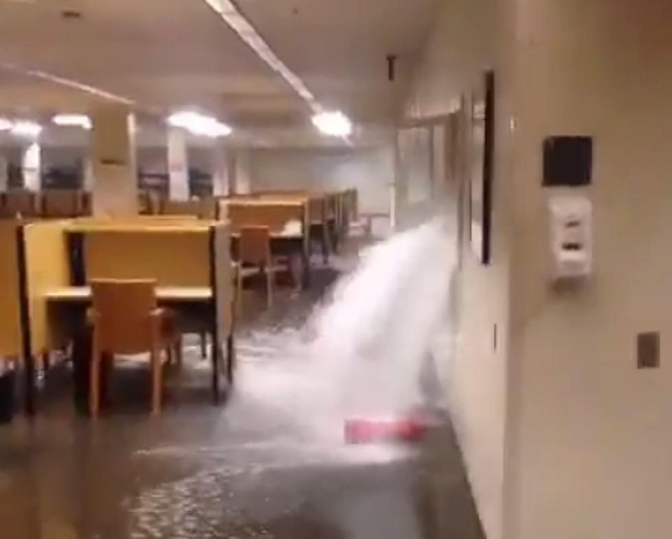 Insane Texas Tech Library Flood Caught on Cell Phone [Video]