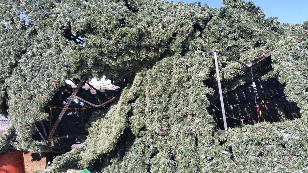 The Untold Story of How Santa Land’s Christmas Tree Was Destroyed During Lubbock’s 2015 Blizzard