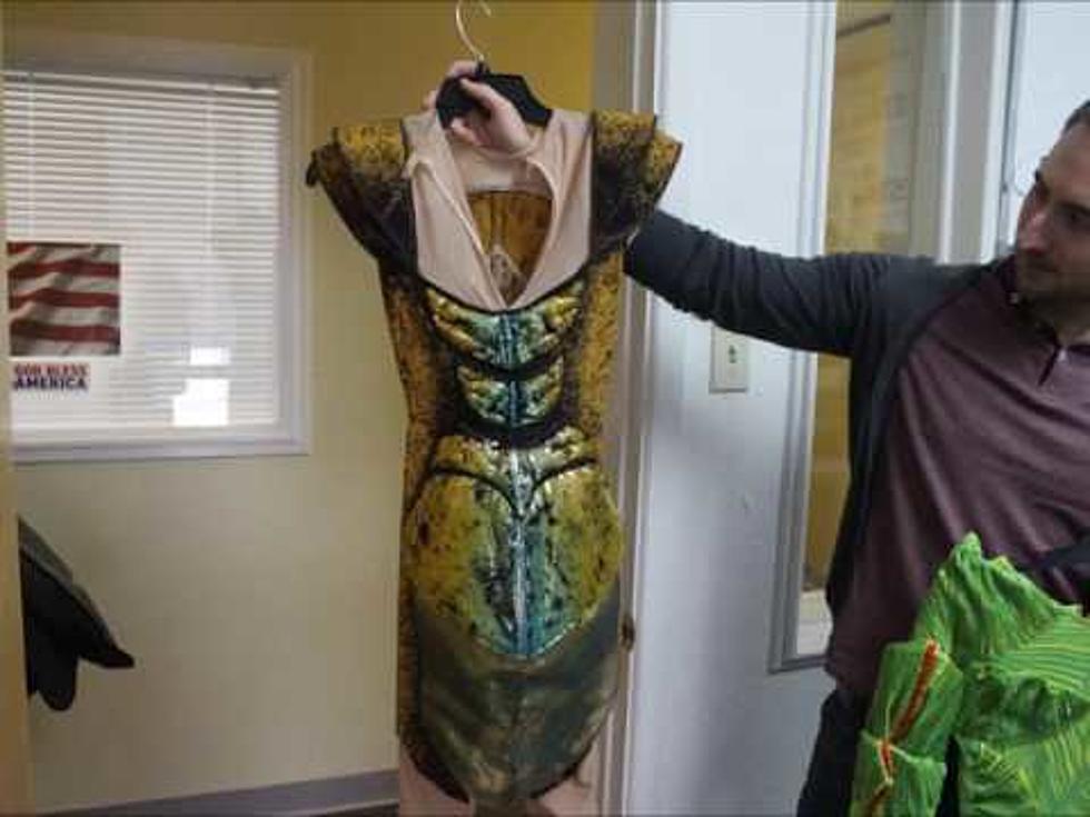 Take a Look at the Amazing Cirque du Soleil OVO Costumes Before the Show Hits Lubbock