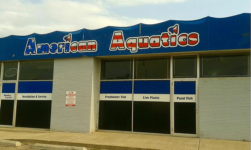American Aquatics Is Now Open at 34th St. Near University
