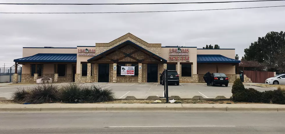Live Oak Animal Hospital’s New Location Is Now Open