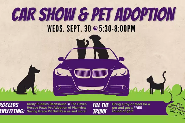 It&#8217;s a Huge Pet Extravaganza and Car Show at Adventure Park on September 30th