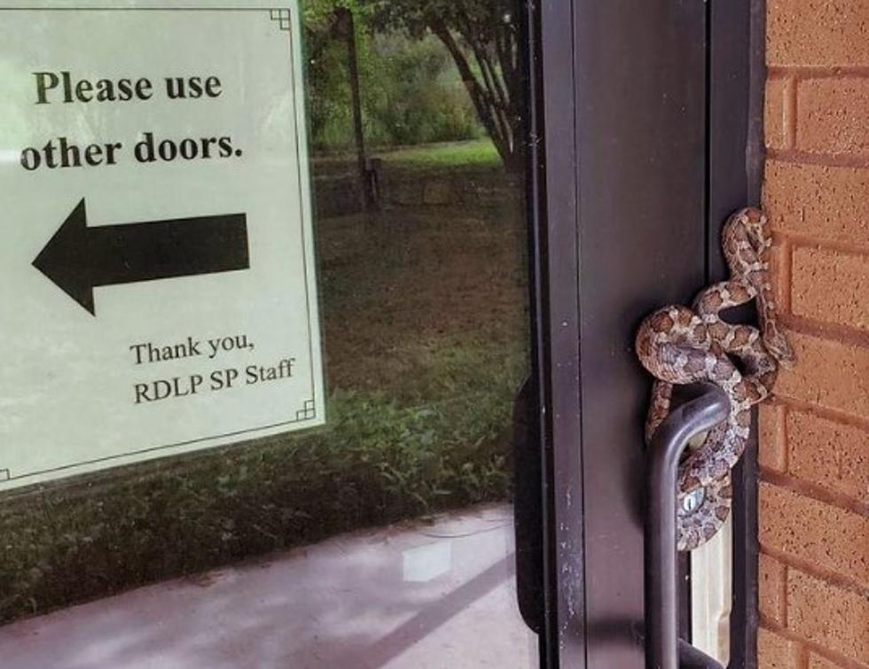 Would This Texas State Park’s New Snake Security Guard Scare You Away?