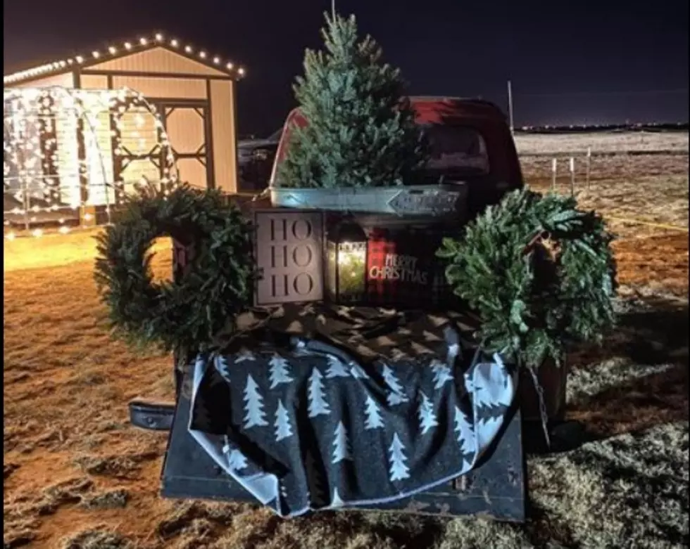 Shallowater’s Christmas On The Farm Is Now Open