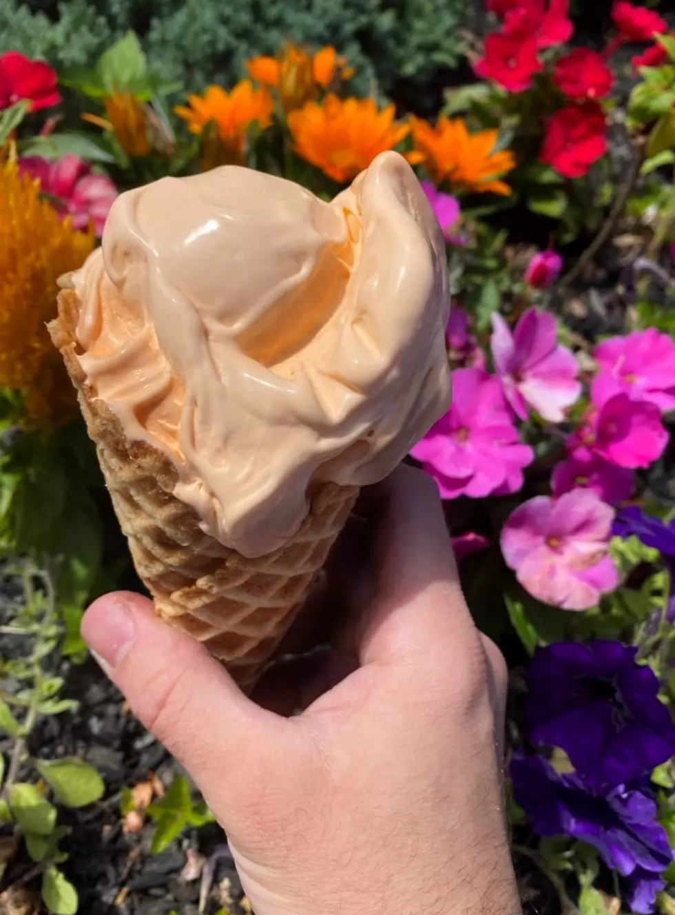 This New Frozen Custard Spot Is Perfect For Lubbock 2024
