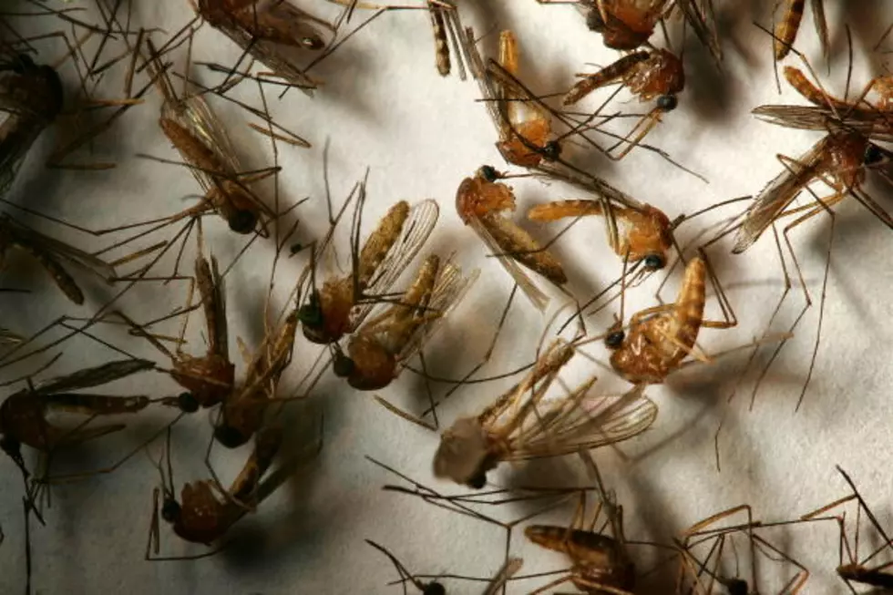 City of Lubbock Confirms 8th Case of West Nile Virus