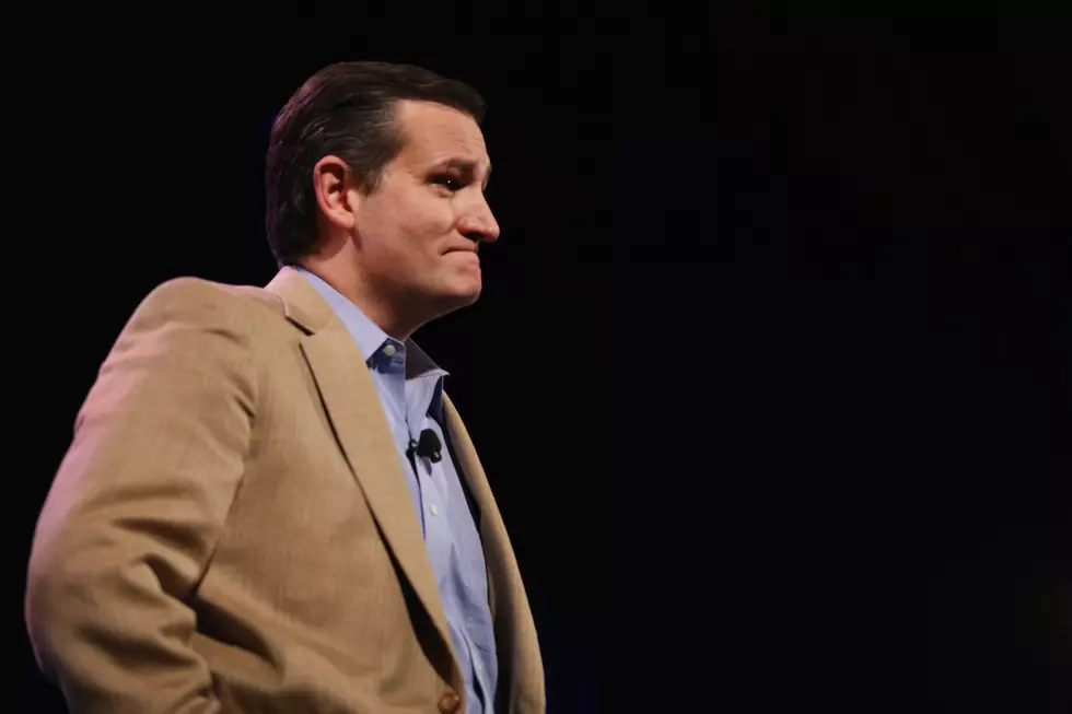Do You Approve of Ted Cruz Calling Mitch McConnell a Liar on the Senate Floor? [POLL]