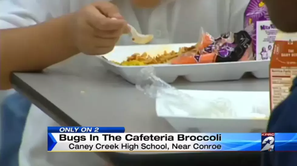 Texas High School Students Find Bugs in Cafeteria Food