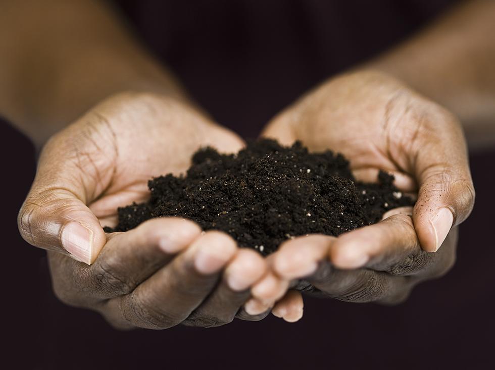 Soil Scientiest Reaching Out To Other Countries