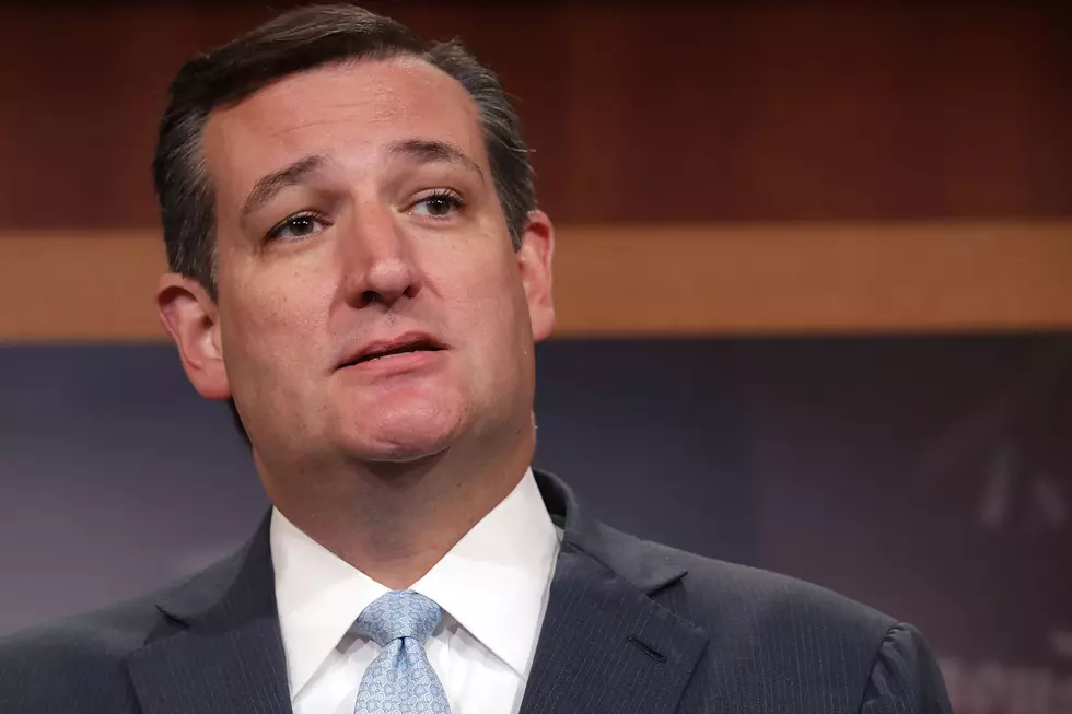 Ted Cruz Introduces Emergency Legislation To Keep Illegal Immigrant Families Together