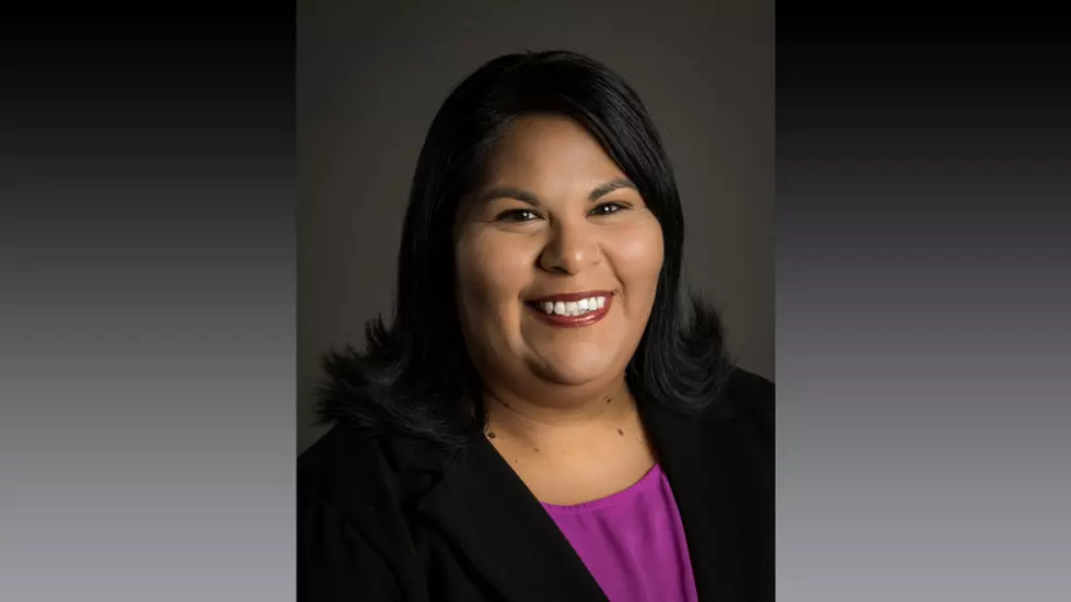 Democrat Samantha Carrillo Fields to Run for House District 84