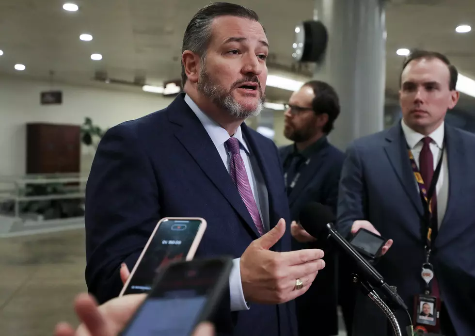 Texas Democrats Call for Senator Ted Cruz to Resign
