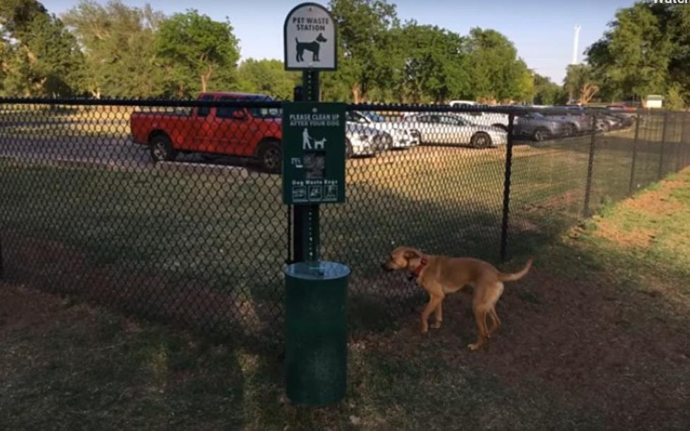 Groundbreaking for New Lubbock Dog Park to Be Held October 14