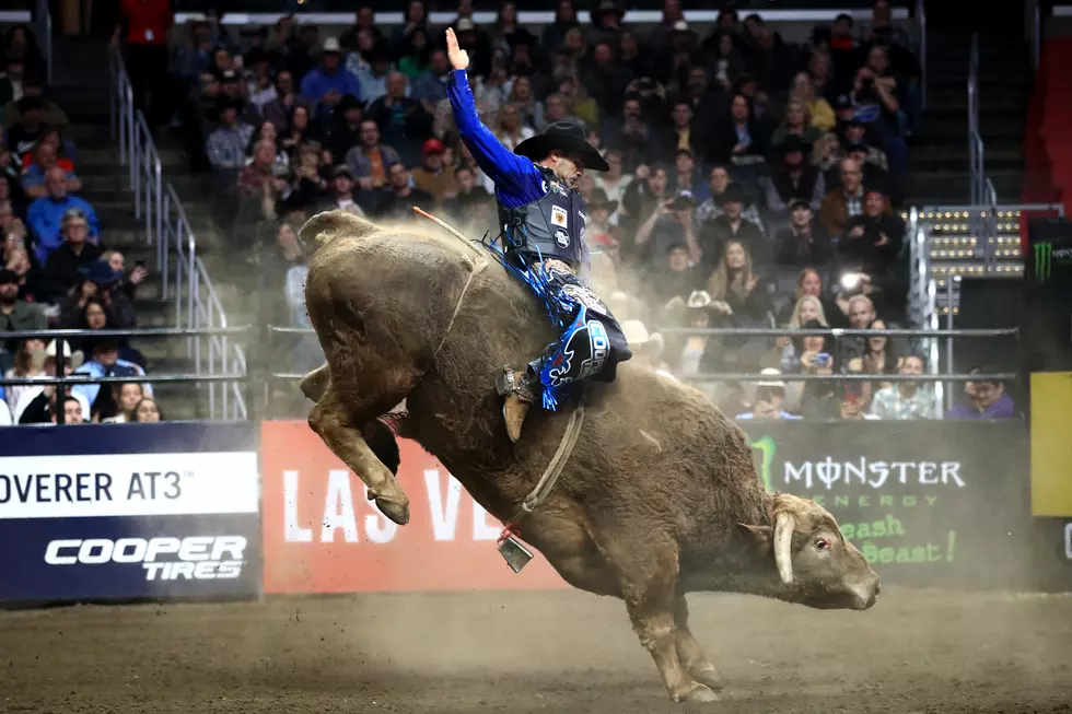 ABC Pro Rodeo Is Back
