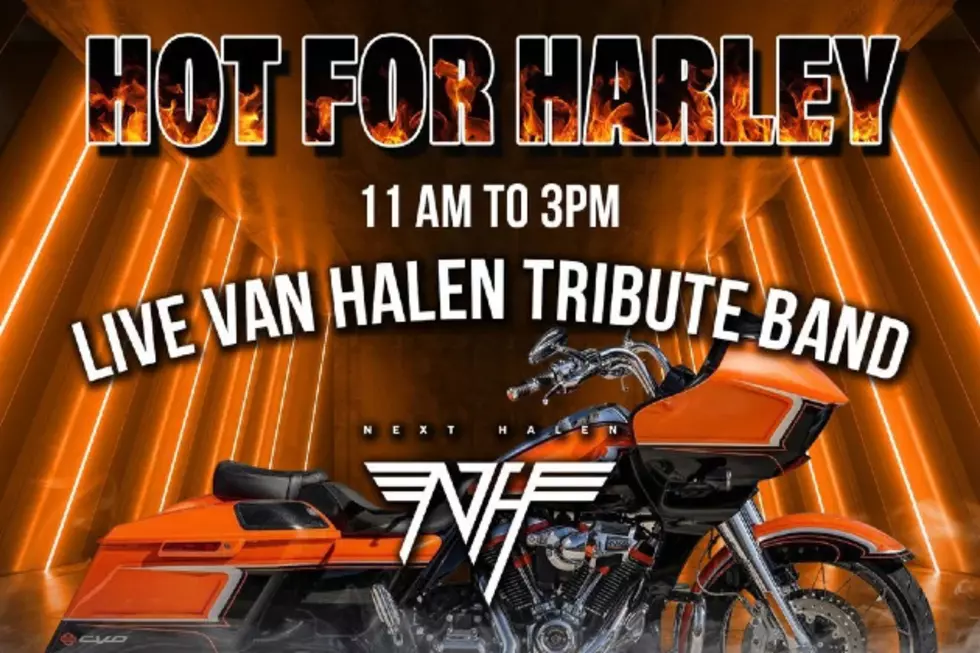 Hot for Harley: A Van Halen Tribute Band and Harley-Davidson