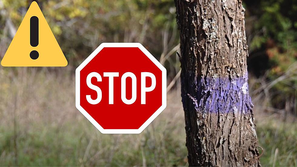 What Does Purple Paint On Texas Trees and Fence Posts Mean?