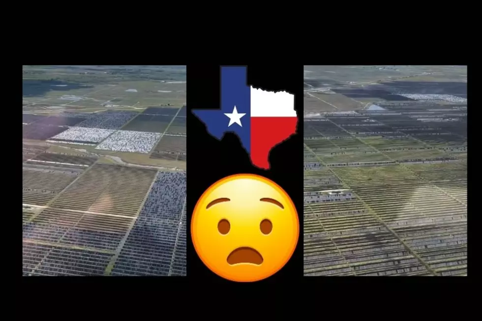 VIDEO: Hailstorm Destroys Massive Solar Farm In Texas