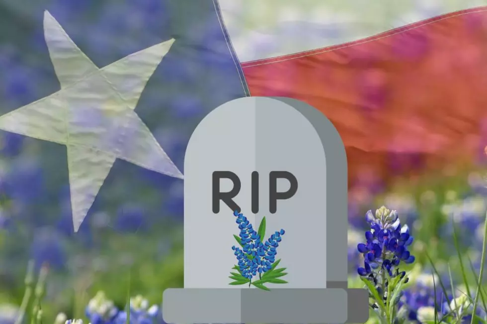 This Foul-Named Weed Is Killing Off Bluebonnets And Other Texas Wildflowers