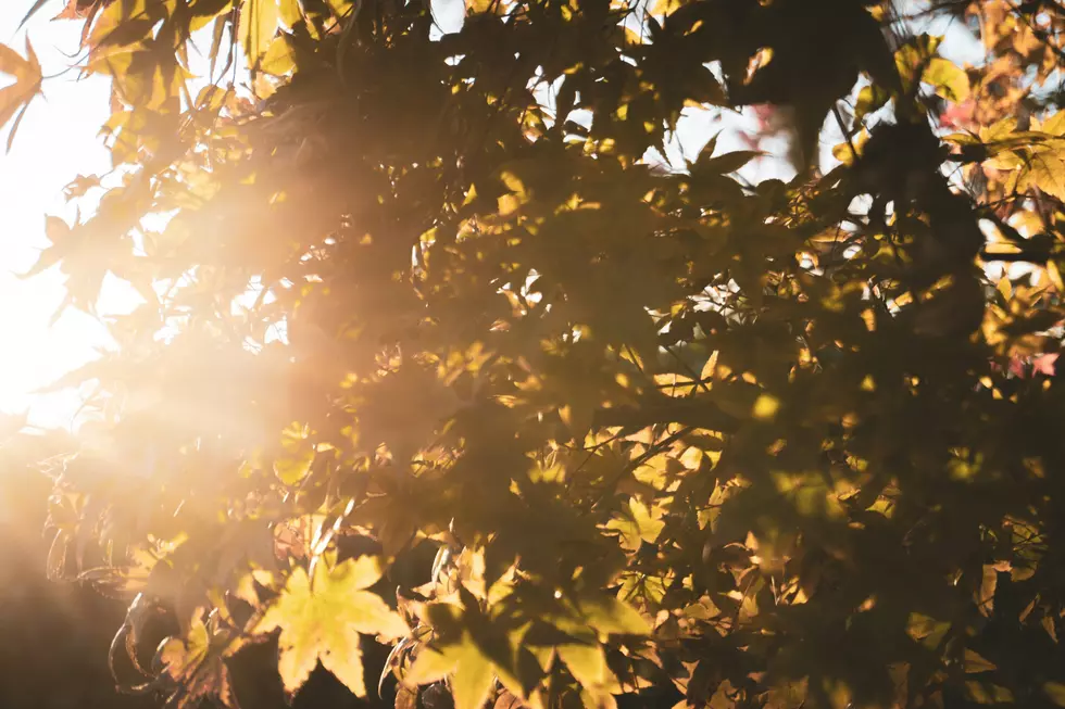Warm and Dry Weather Expected to Continue