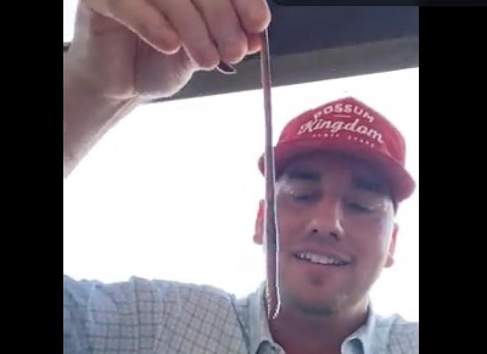 Texas Tech Fan Eats a Live Worm After Player Commits to Basketball Team