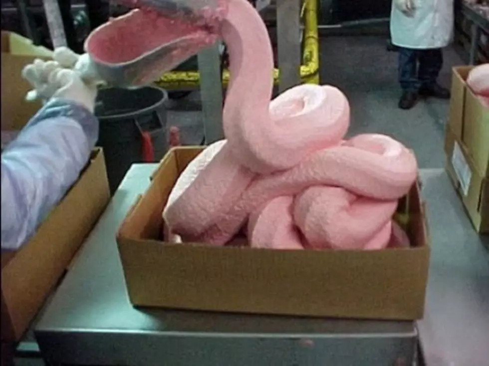 BPI “Pink Slime” Plant Shuts Down; 200 Residents Lose Jobs