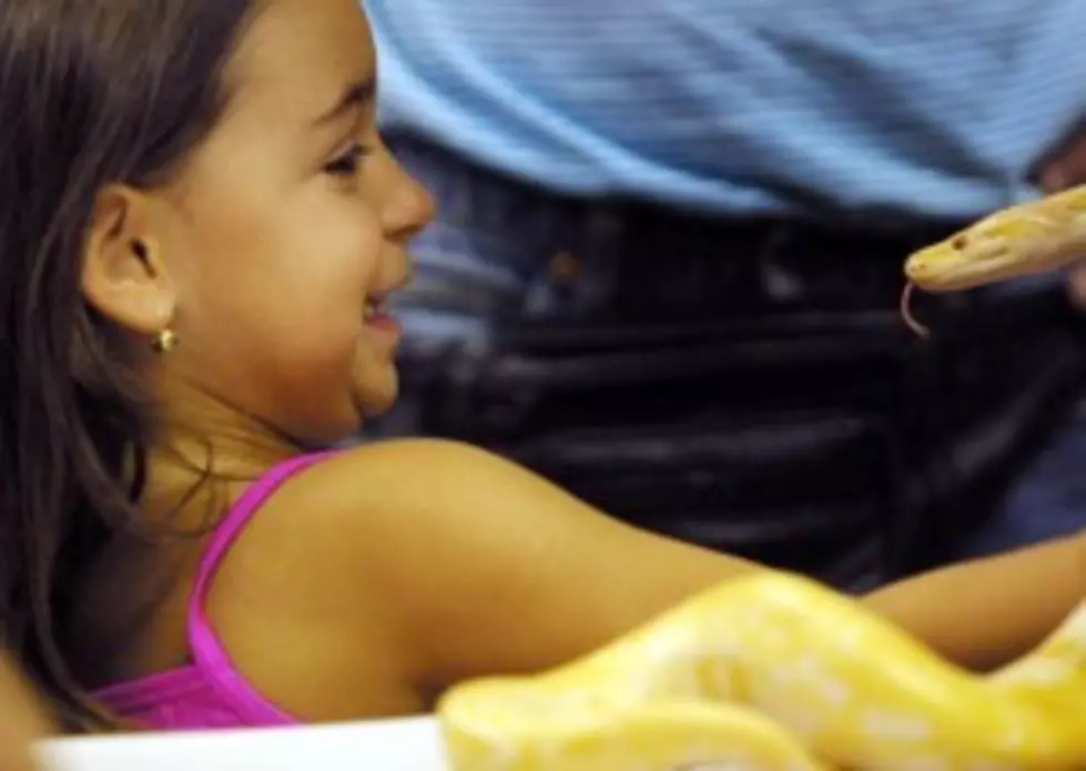 Should Homes With Small Children Be Allowed To Have Snakes As Pets?