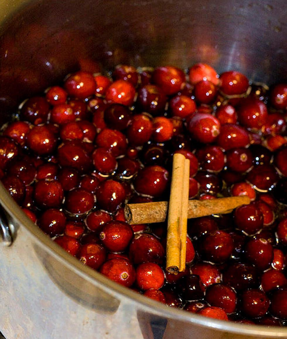Thanksgiving Recipe Day 9: Homemade Cranberry Sauce