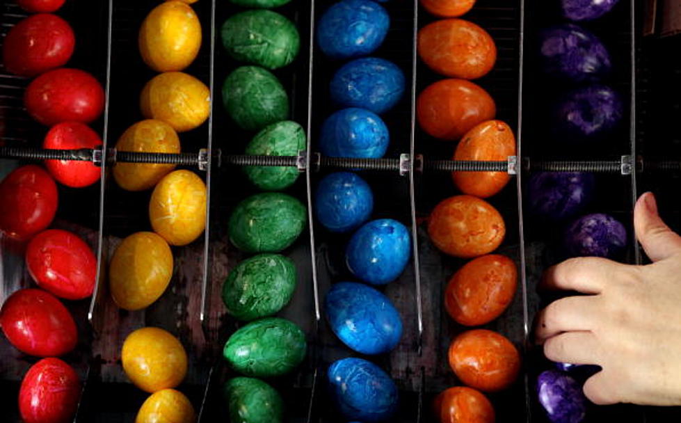 What Do You Do With Your Boiled Eggs After The Easter Egg Hunt?  [POLL]