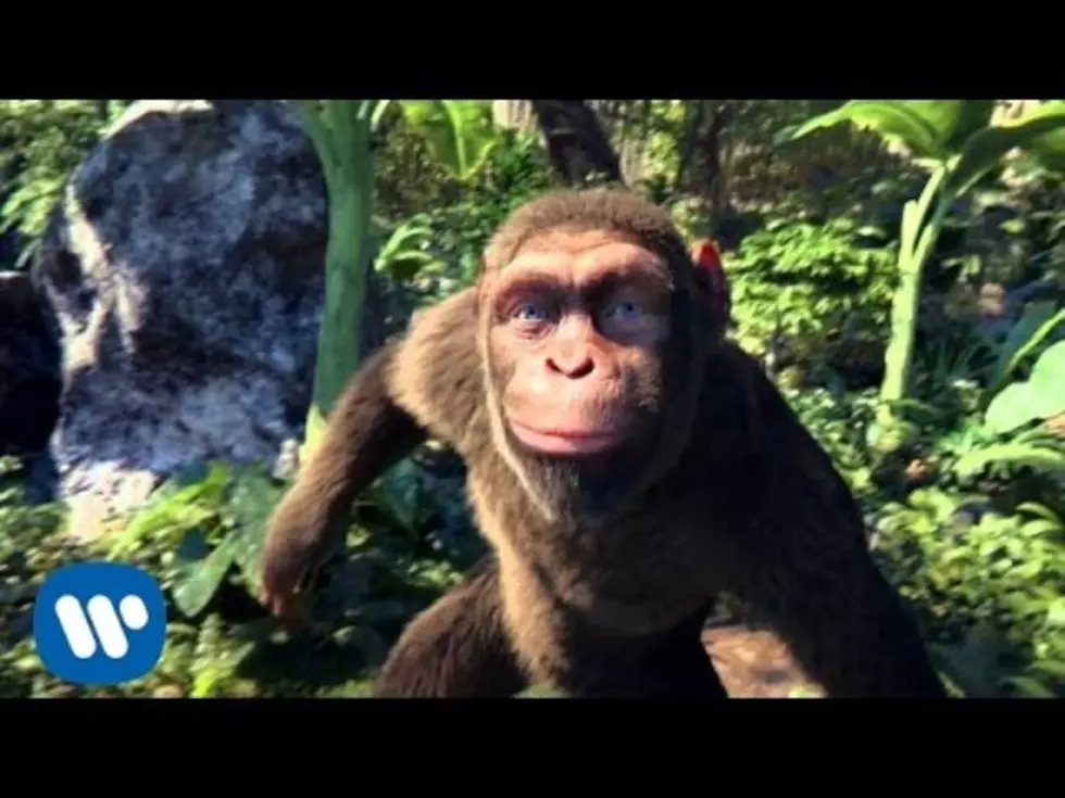 Apes Dancing To Coldplay’s New Song “Adventure  Of A Lifetime” [VIDEO]