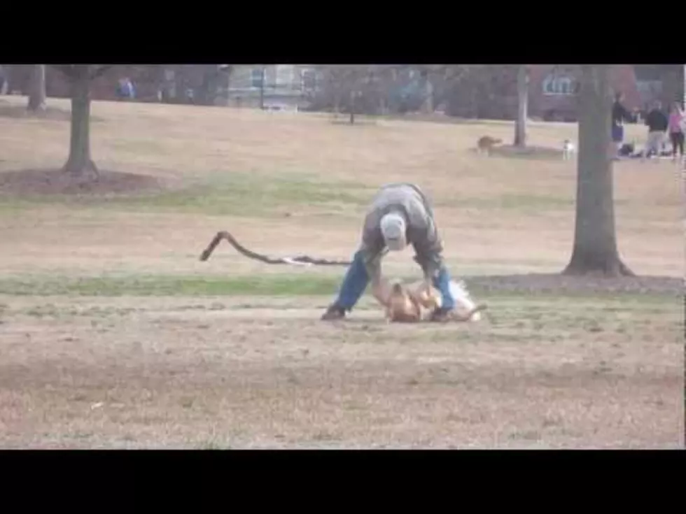 Dog Plays Dead So He Doesn’t Have To Leave the Park [VIDEO]