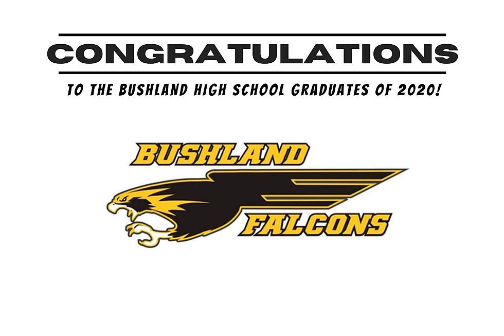 Bushland High School Graduates of 2020