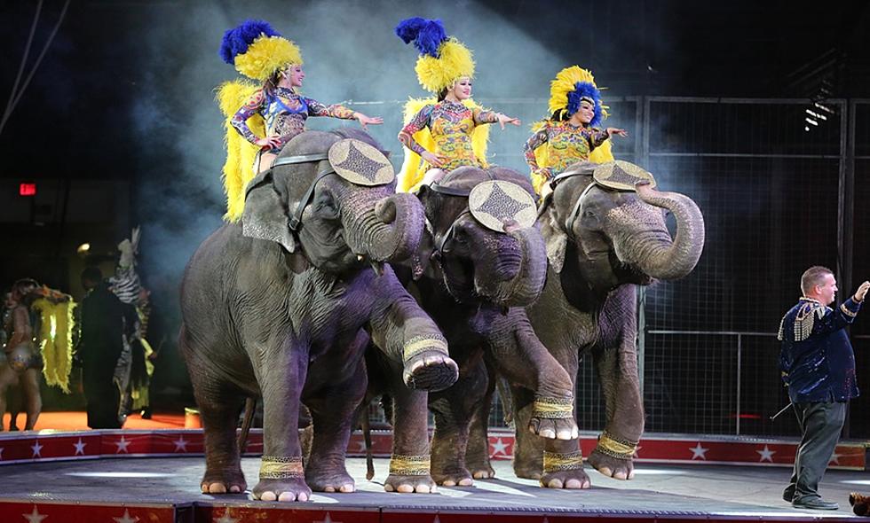 Enter to WIN Tickets to the Spectacular Circus! 