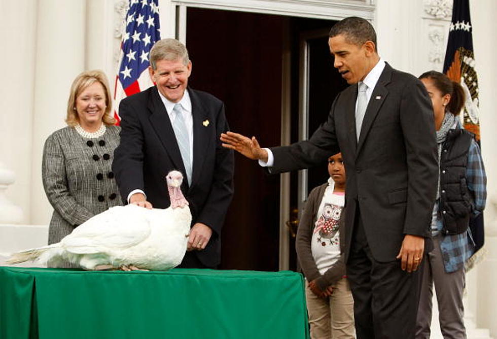 Even Turkey’s Have Thanksgiving Traditions – Presidents Annual Turkey Pardon