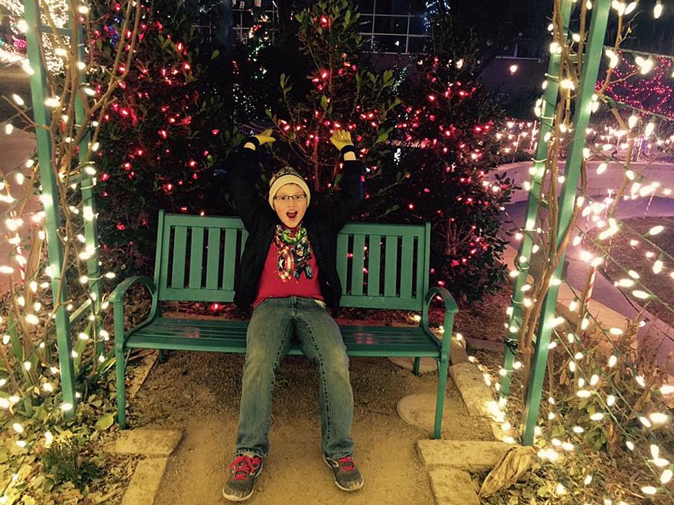 The Amarillo Botanical Gardens Light Up and It Feels Like Christmas
