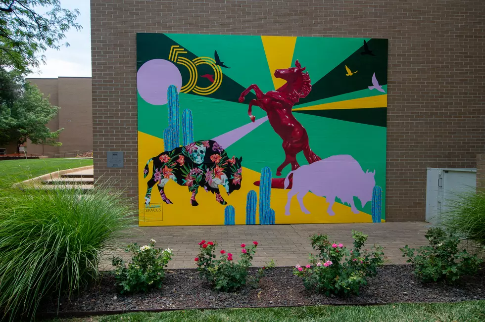 Another Blank Spaces Mural Brightens Up the Amarillo Museum of Art