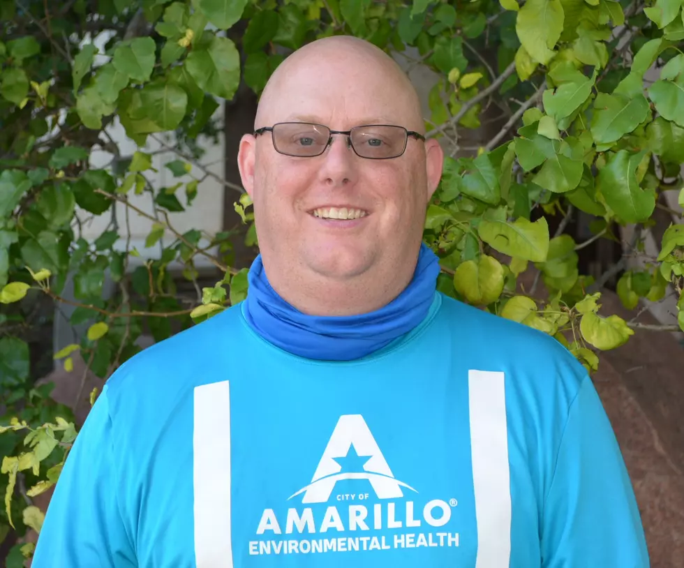 Amarillo Man Responsible for the Death of Evil Mosquitoes