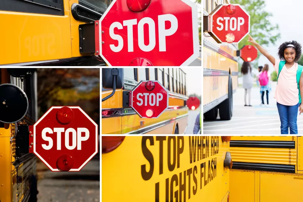 Don’t Pass That Bus with Flashing Red Lights!  It’s Illegal
