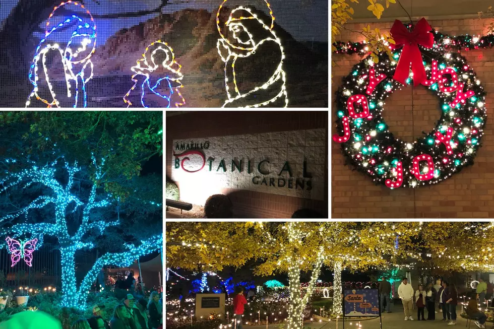 Christmas Comes To Life At The Amarillo Botanical Gardens