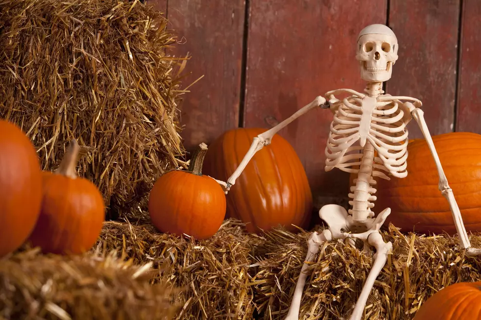 A Surprising, Local Way To Get Rid Of Your Pumpkins