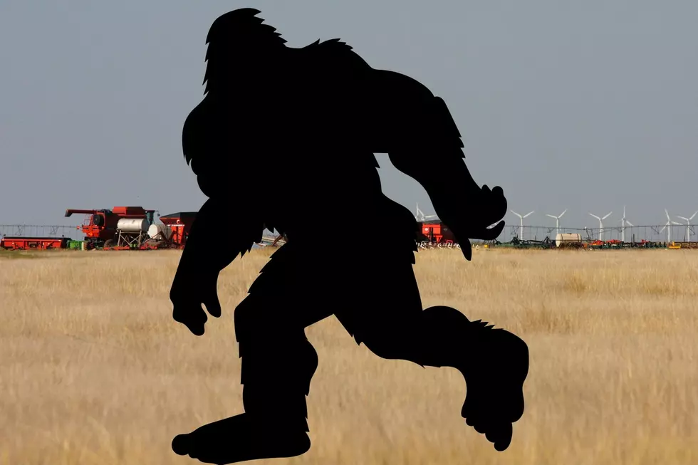 Bigfoot Sighted Roaming In The Texas Panhandle